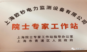 上海欧秒受邀出席青浦科技节开幕式暨院士专家工作站授牌仪式